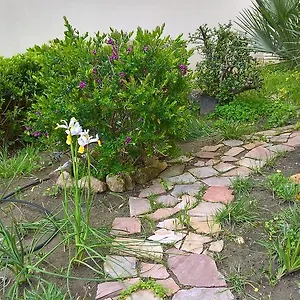 Tulipano Alghero